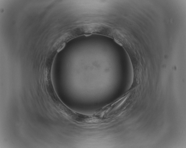 X0000074310219200609011520