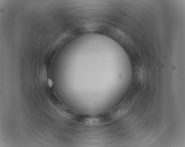 X0000074310220200609011520