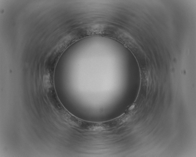 X0000074310224200609011520