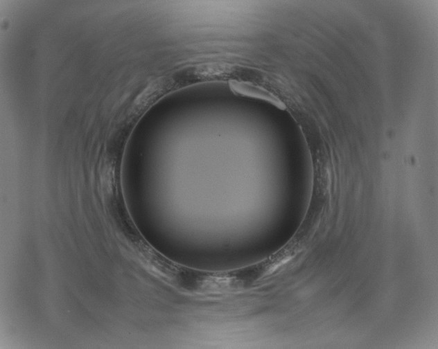 X0000074310227200609011520