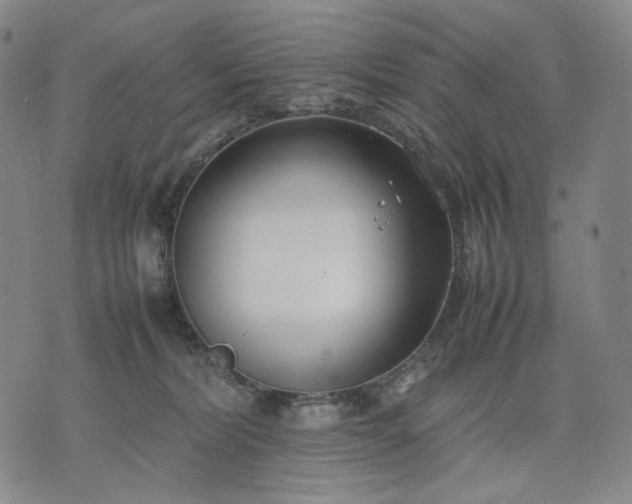 X0000074310228200609011520