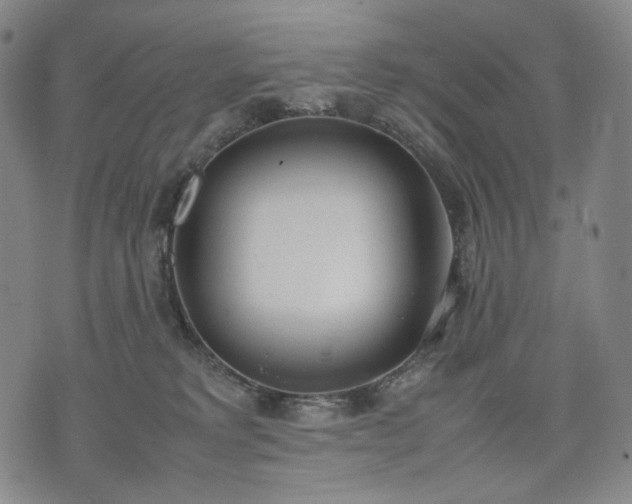 X0000074310229200609011520