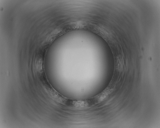 X0000074310230200609011520