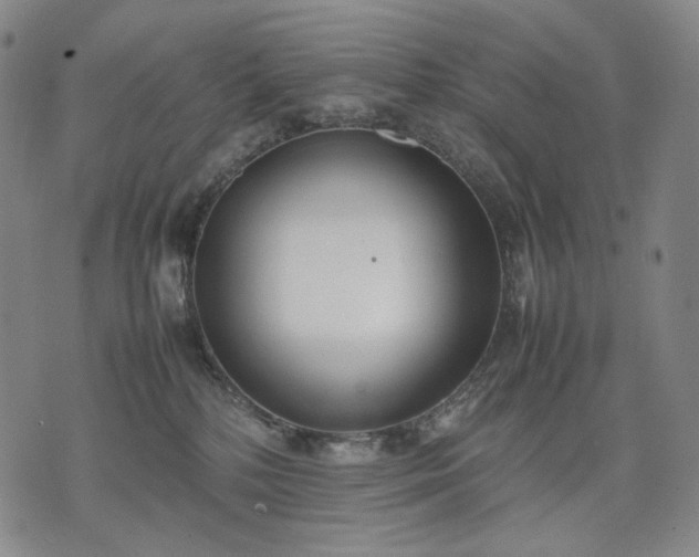 X0000074310232200609011520