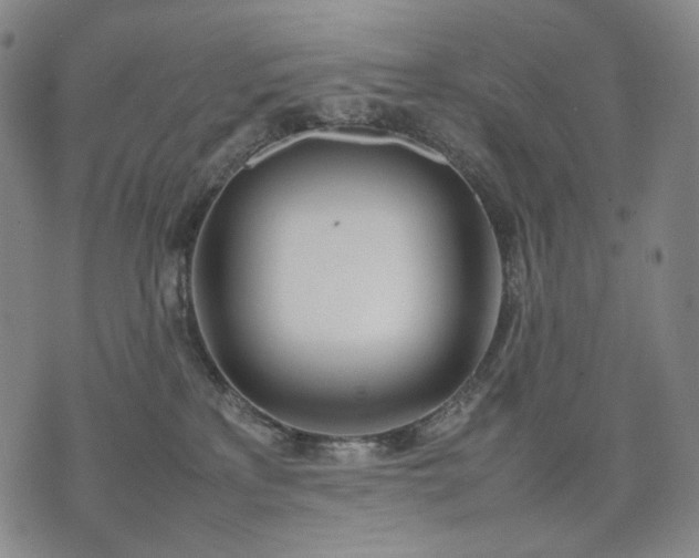 X0000074310233200609011520