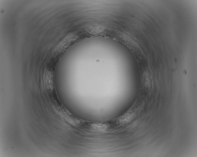 X0000074310234200609011520