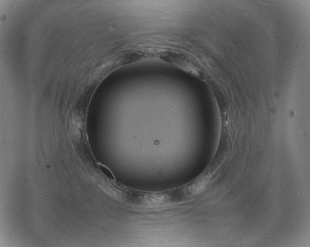 X0000074310235200609011520