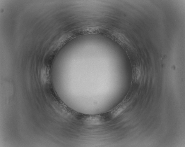 X0000074310236200609011520