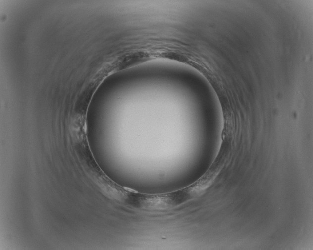 X0000074310237200609011520