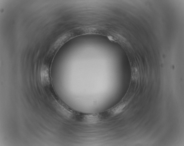 X0000074310238200609011520