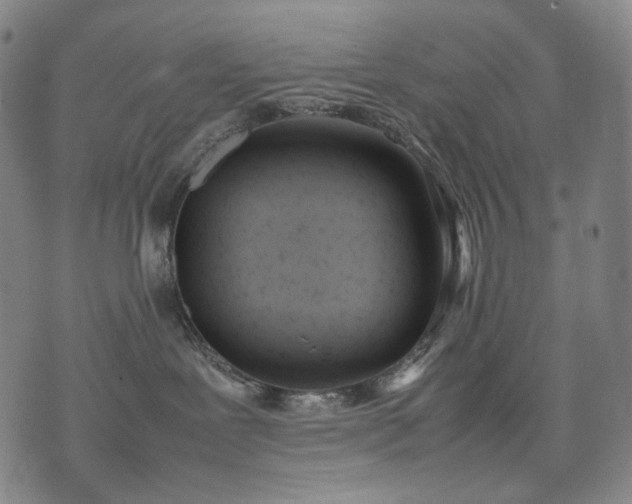 X0000074310239200609011520