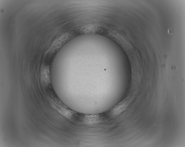 X0000074310240200609011520