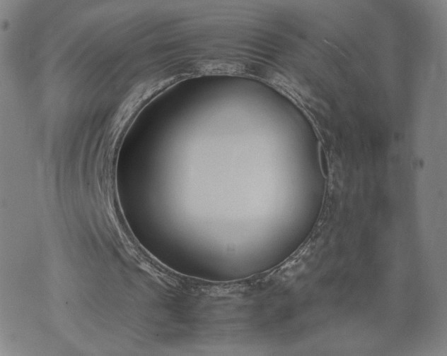 X0000074310241200609011519