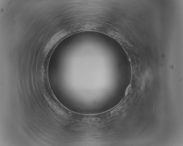 X0000074310242200609011519