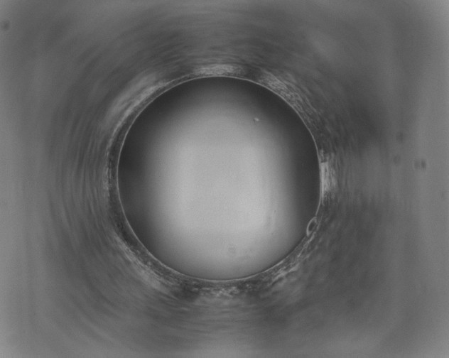 X0000074310243200609011519