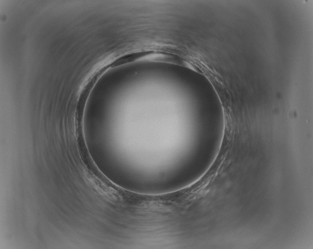 X0000074310244200609011519