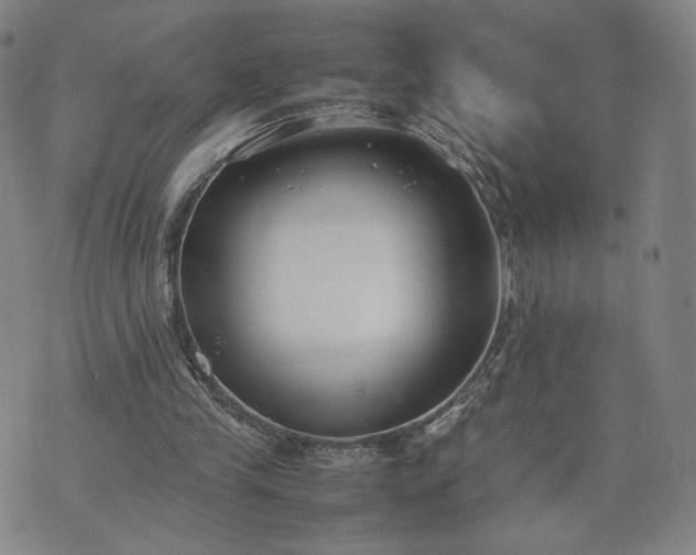 X0000074310245200609011519