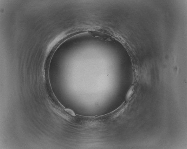 X0000074310246200609011519