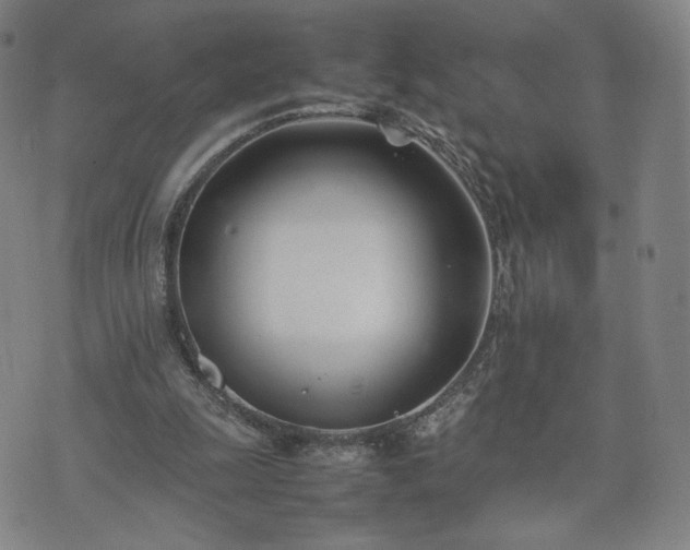 X0000074310247200609011519