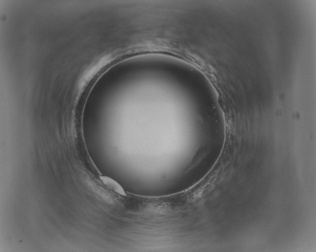 X0000074310248200609011519