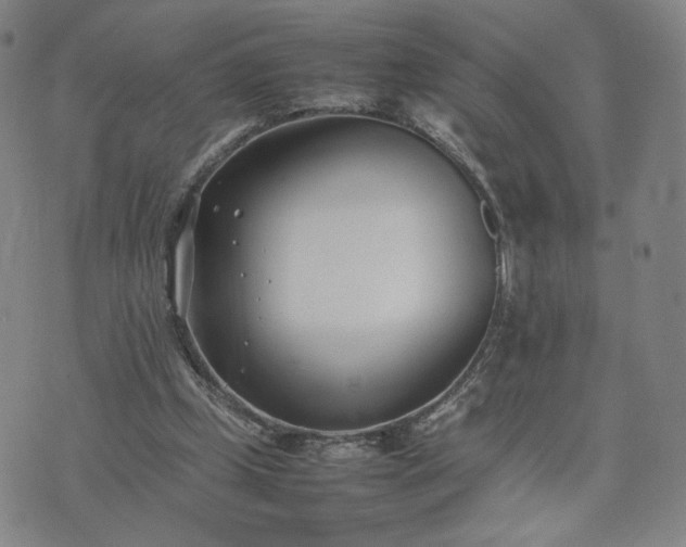 X0000074310249200609011519