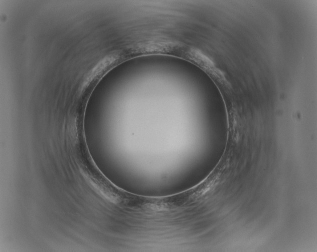 X0000074310250200609011519