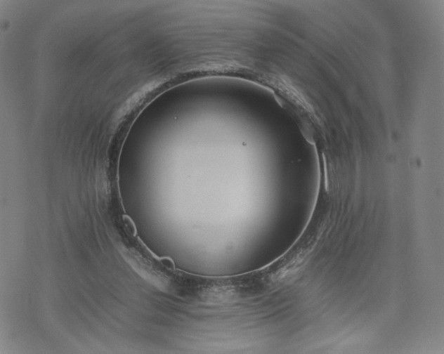 X0000074310252200609011519