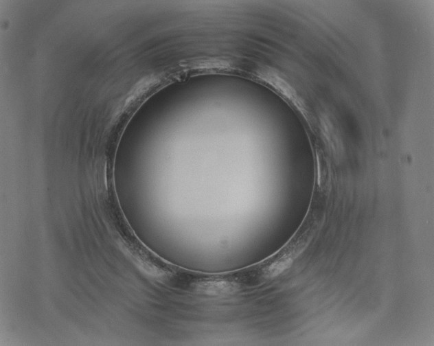 X0000074310253200609011519