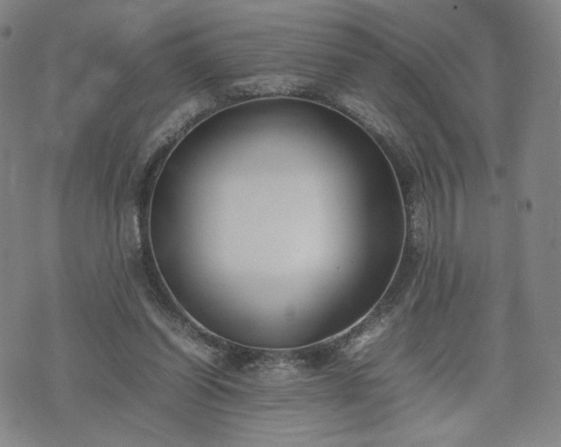 X0000074310254200609011519