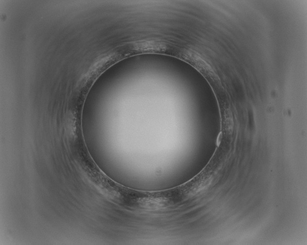 X0000074310255200609011519