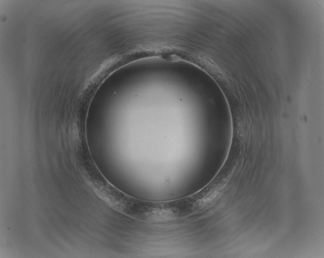 X0000074310256200609011519