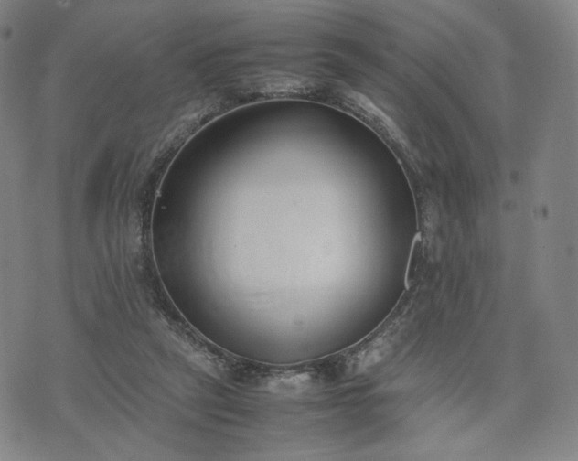 X0000074310257200609011519