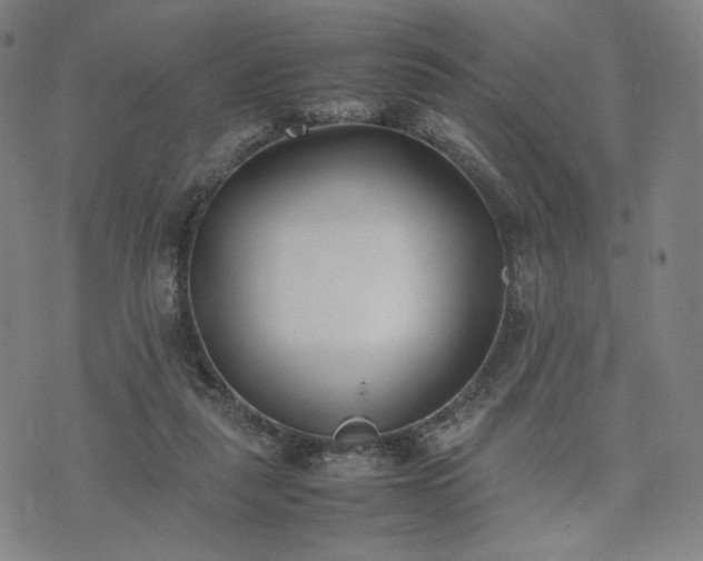 X0000074310259200609011519