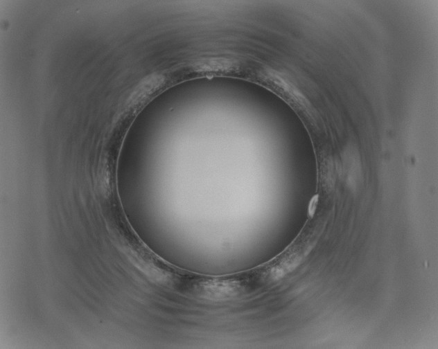 X0000074310261200609011520