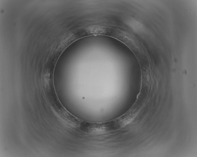 X0000074310263200609011520