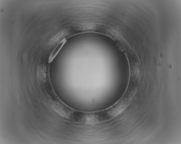 X0000074310264200609011520