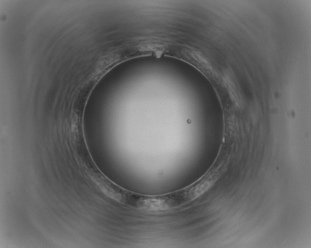 X0000074310265200609011520