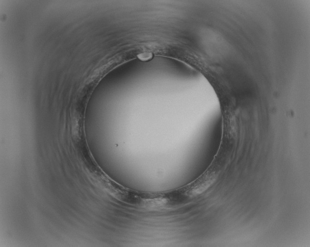 X0000074310266200609011520