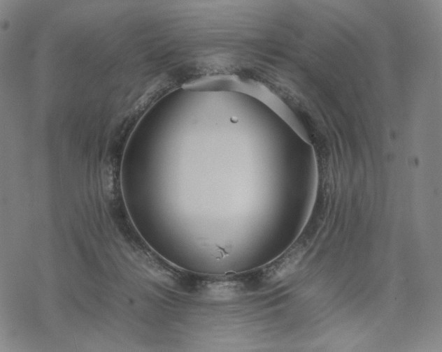 X0000074310268200609011520