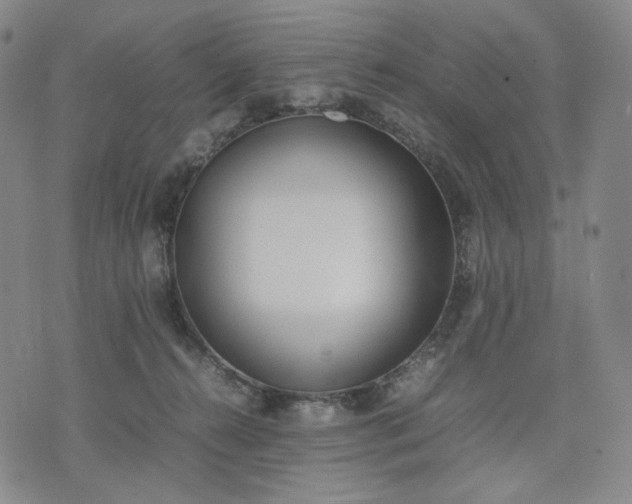 X0000074310272200609011520