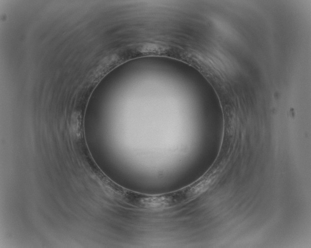 X0000074310273200609011520