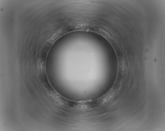 X0000074310276200609011520