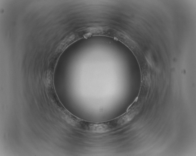 X0000074310277200609011520