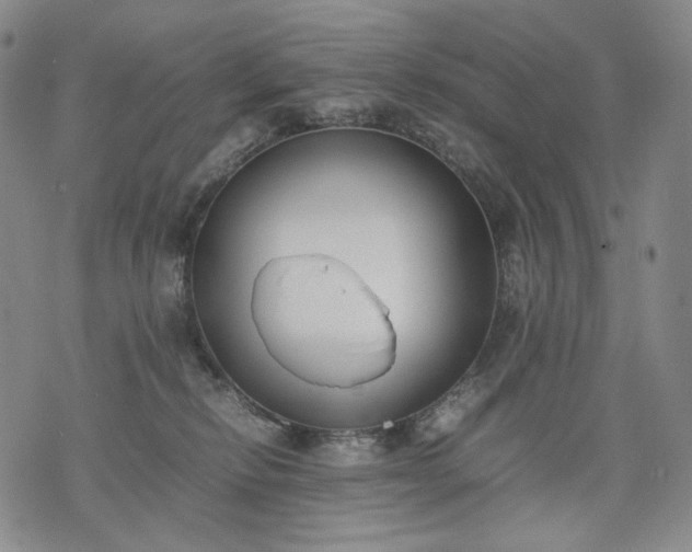 X0000074310278200609011520