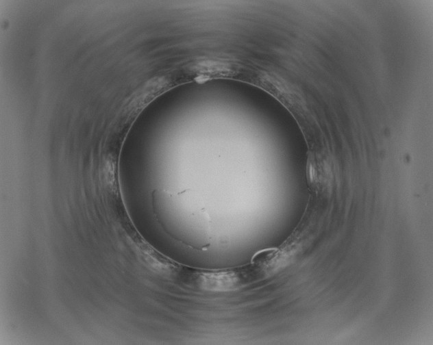 X0000074310281200609011520