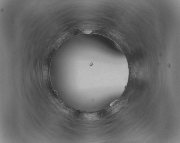 X0000074310283200609011520