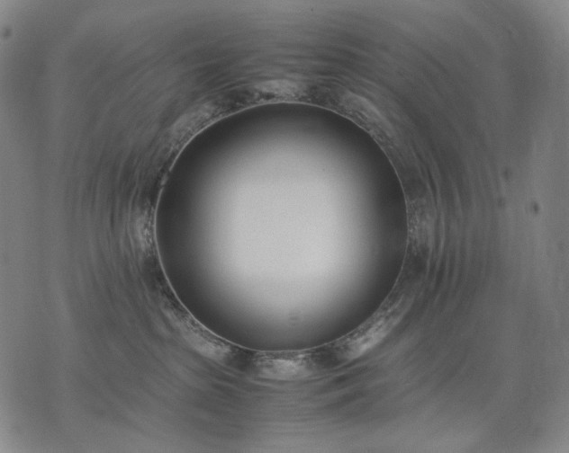 X0000074310285200609011520