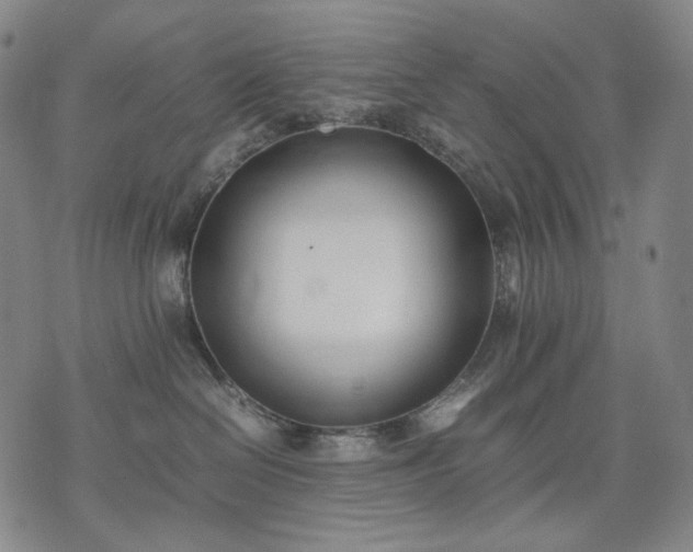 X0000074310286200609011520