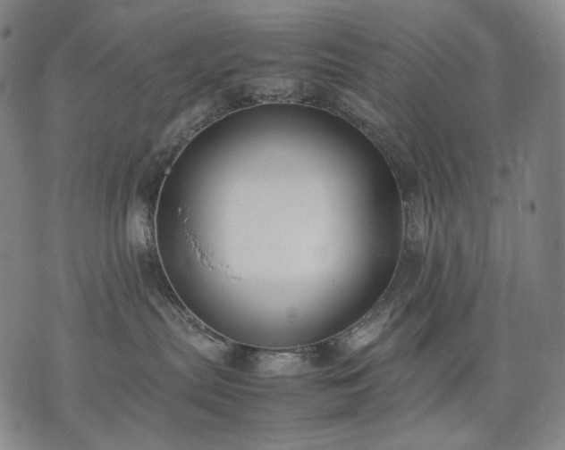 X0000074310287200609011520