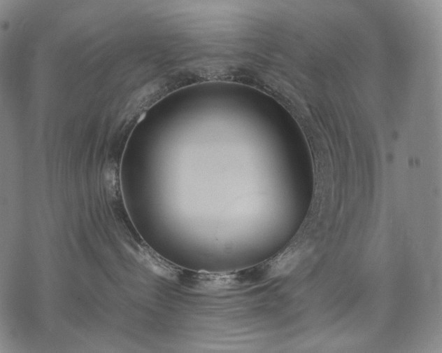 X0000074310288200609011520